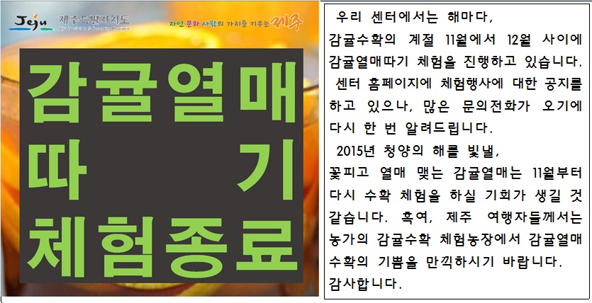 감귤열매따기 체험 종료안내